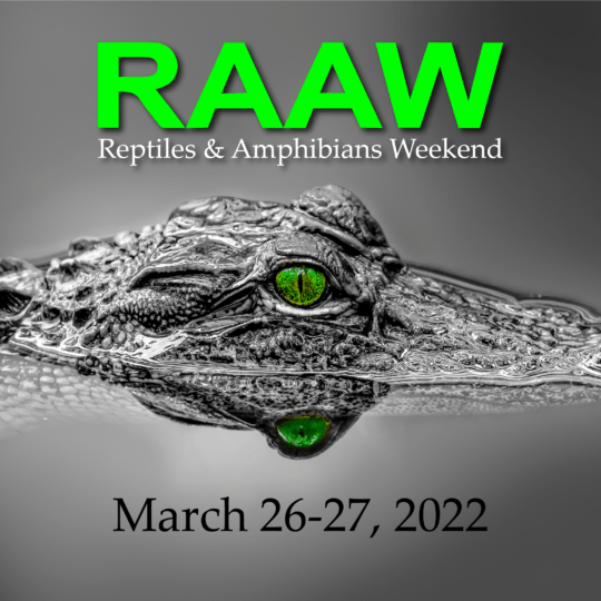 Reptiles and amphibians at The Virginia Living Museum!