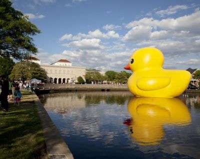 duck_at_the_chrysler.jpg