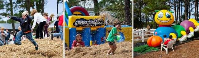 attractions2.jpg