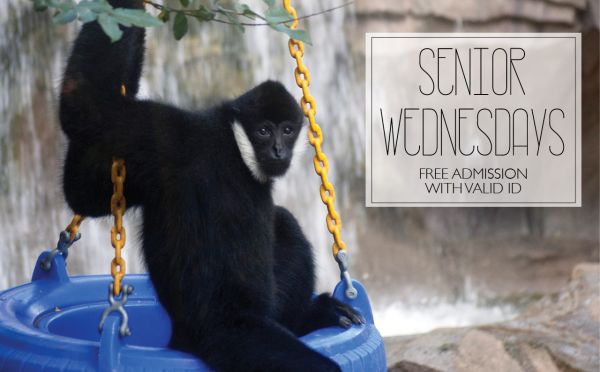 Senior Wednesdays at The Virginia Zoo (Norfolk) Senior Wednesdays at the Virginia Zoo in Norfolk