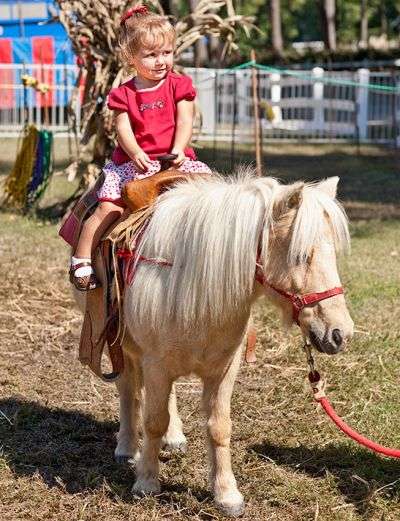 Pony Rides at Hunt Club Farm Pony Rides at Hunt Club Farm