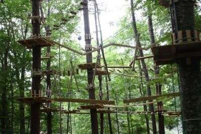 adventure_park.jpg