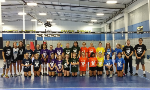 Tidewater Volleyball Association League Tidewater Volleyball Association League