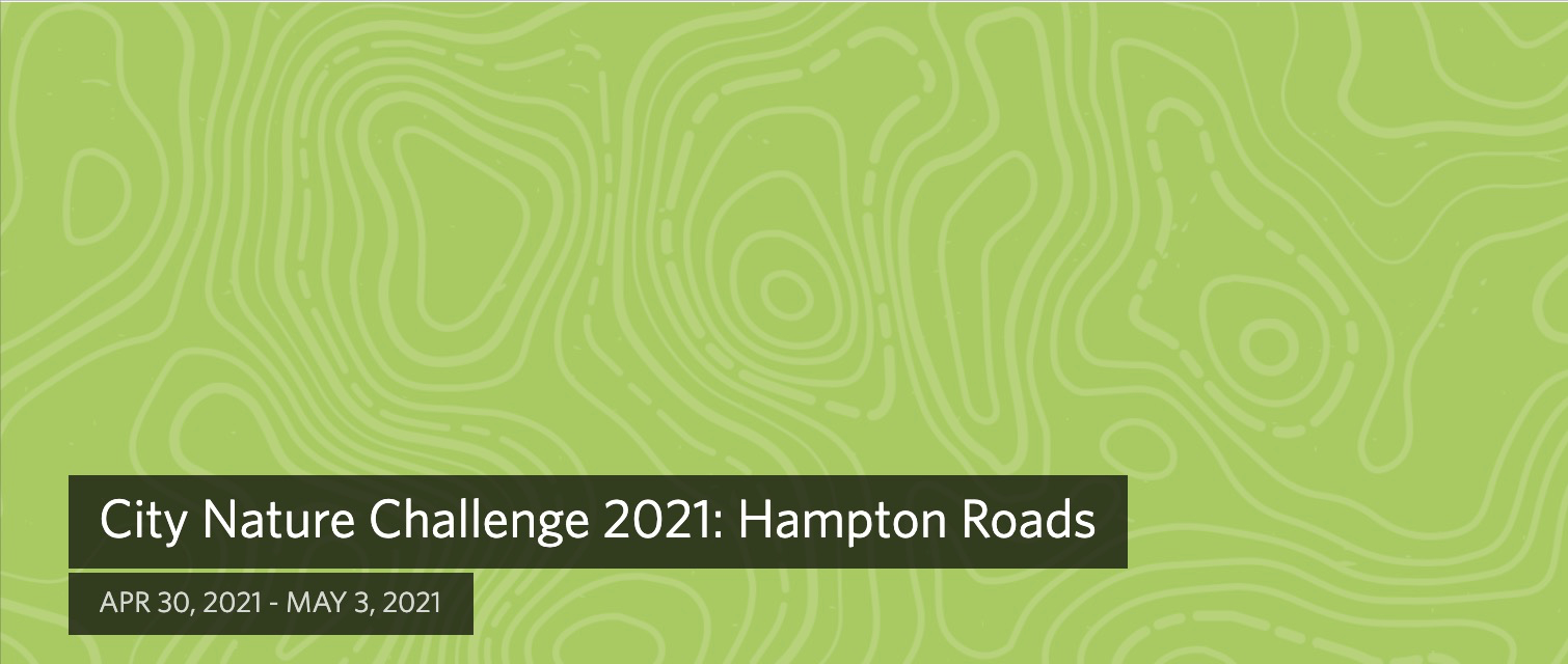 City Nature Challenge 2021