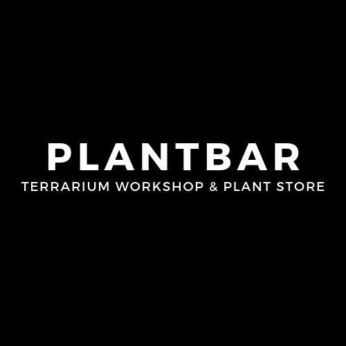 DateNight at Plantbar Virginia Beach VA