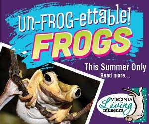VLM-Frogs-Un-Frogettable-300x250B.jpg