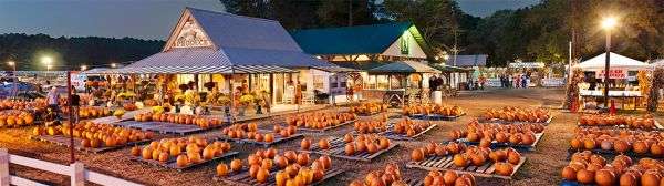 Hunt Club Farm market pano.jpg