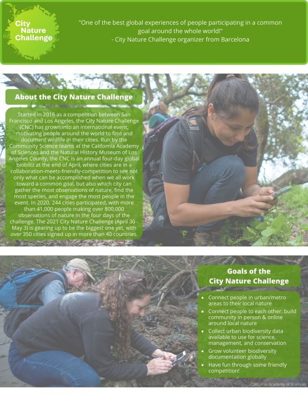 2021_cnc_one-pager_for_organizers-page-0.jpeg