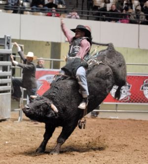 bullride.JPG