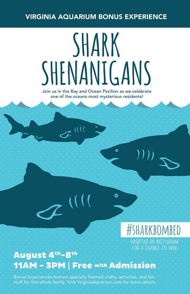 Shark Shenanigans at Virginia Aquarium shark_shenanagans.jpg