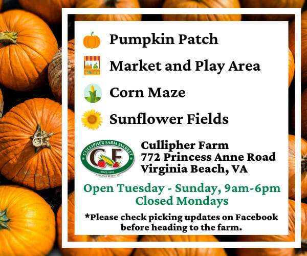 Cullipher Farm Pumpkins