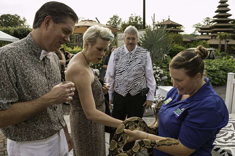 Prom Night at the Zoo