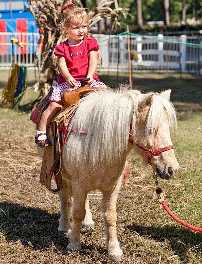 Hunt Club Fall Harvest Fair
