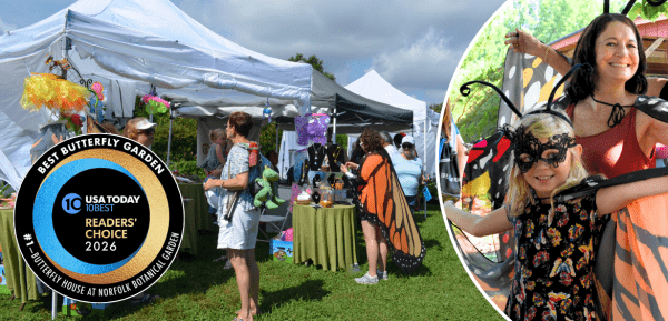 2026 Butterfly Festival
