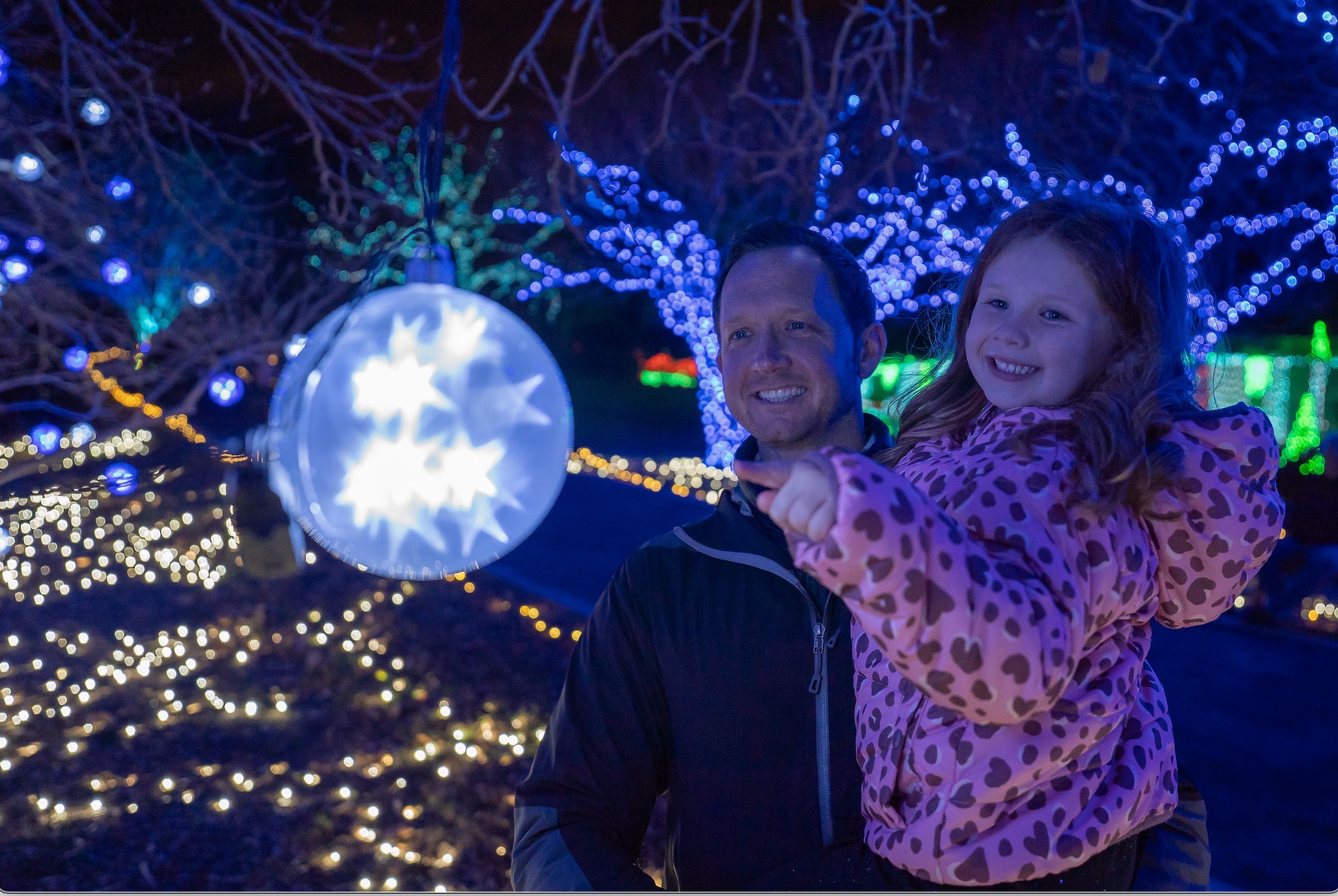 Garden of Lights at Norfolk Botanical Garden