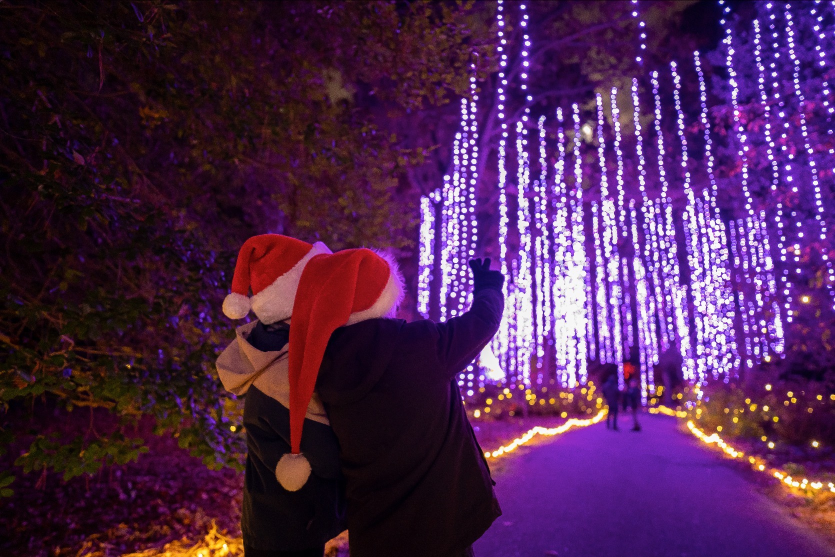 Garden of Lights Norfolk Botanical Garden