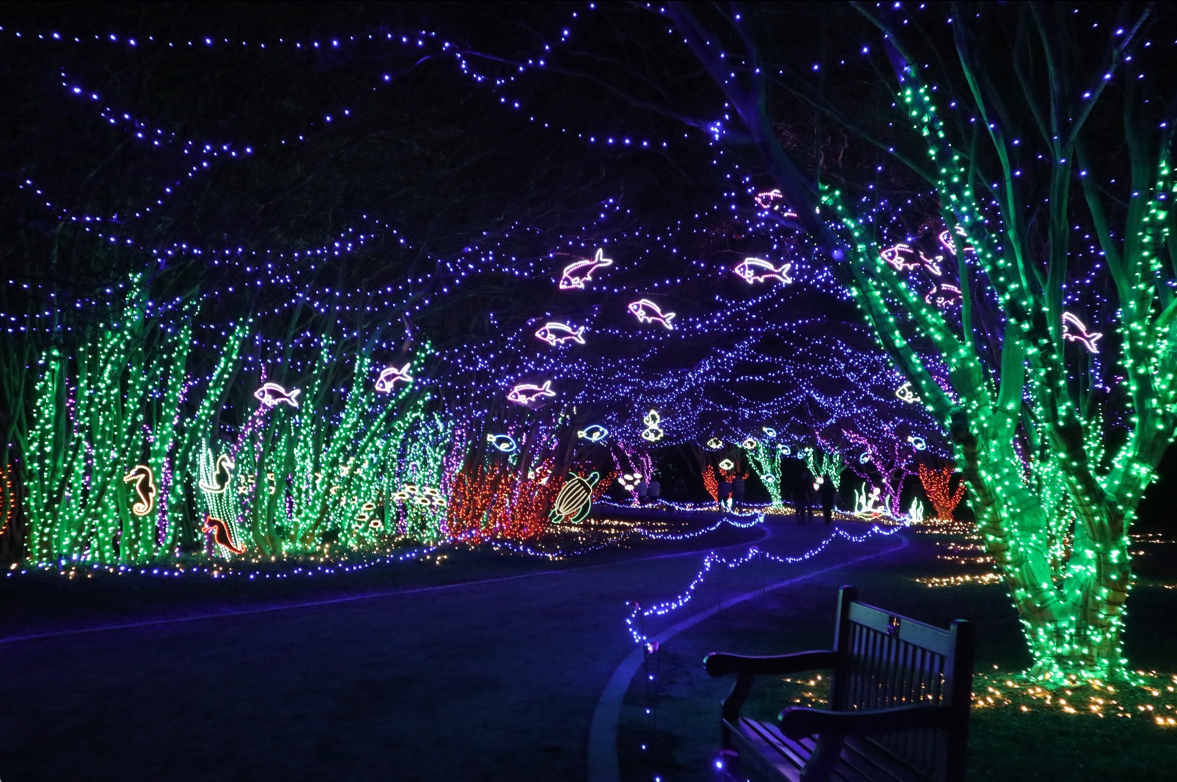 Garden of Lights at Norfolk Botanical Garden