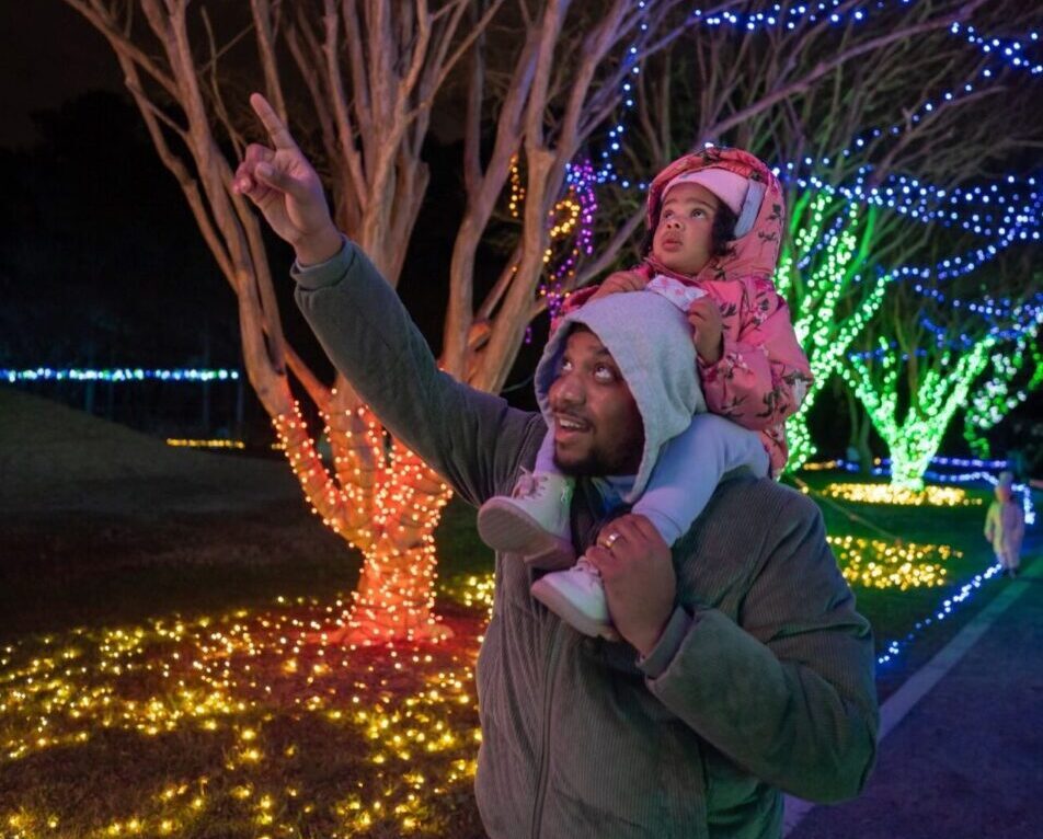 Garden of Lights at Norfolk Botanical Garden