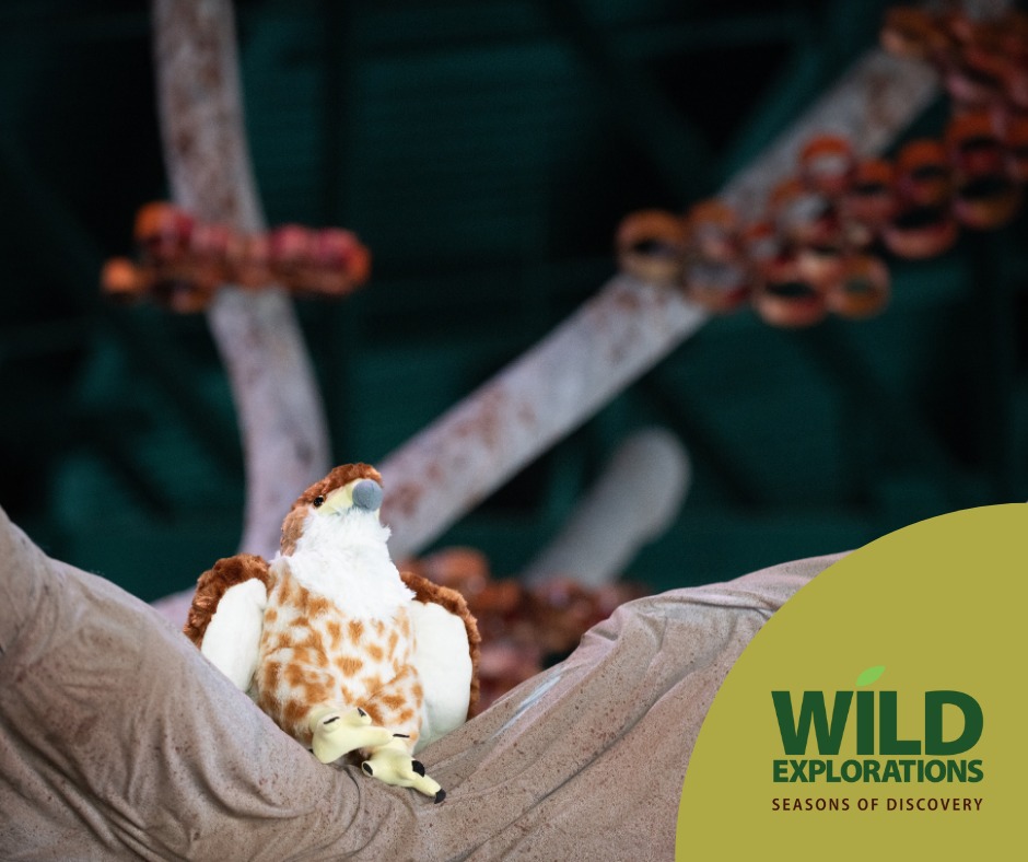 Wild Explorations Seasons of Discovery at VLM1