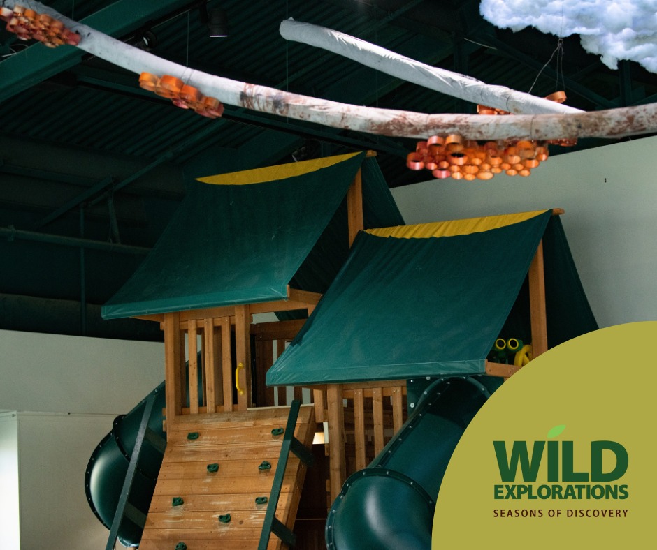Wild Explorations Seasons of Discovery at VLM2