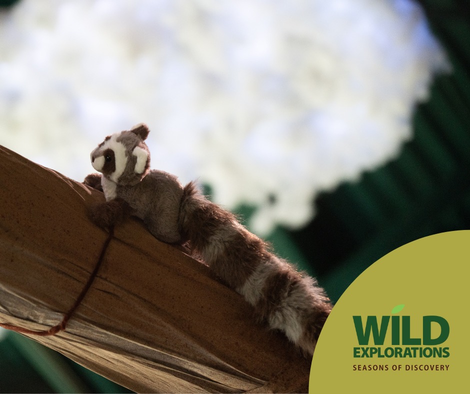 Wild Explorations Seasons of Discovery at VLM4