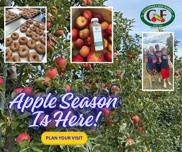 Cullipher Farm Apple Picking