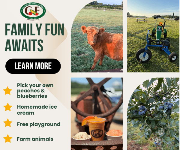 Cullipher July242026