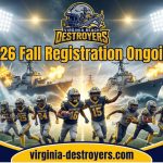 VBDestroyers 150x150