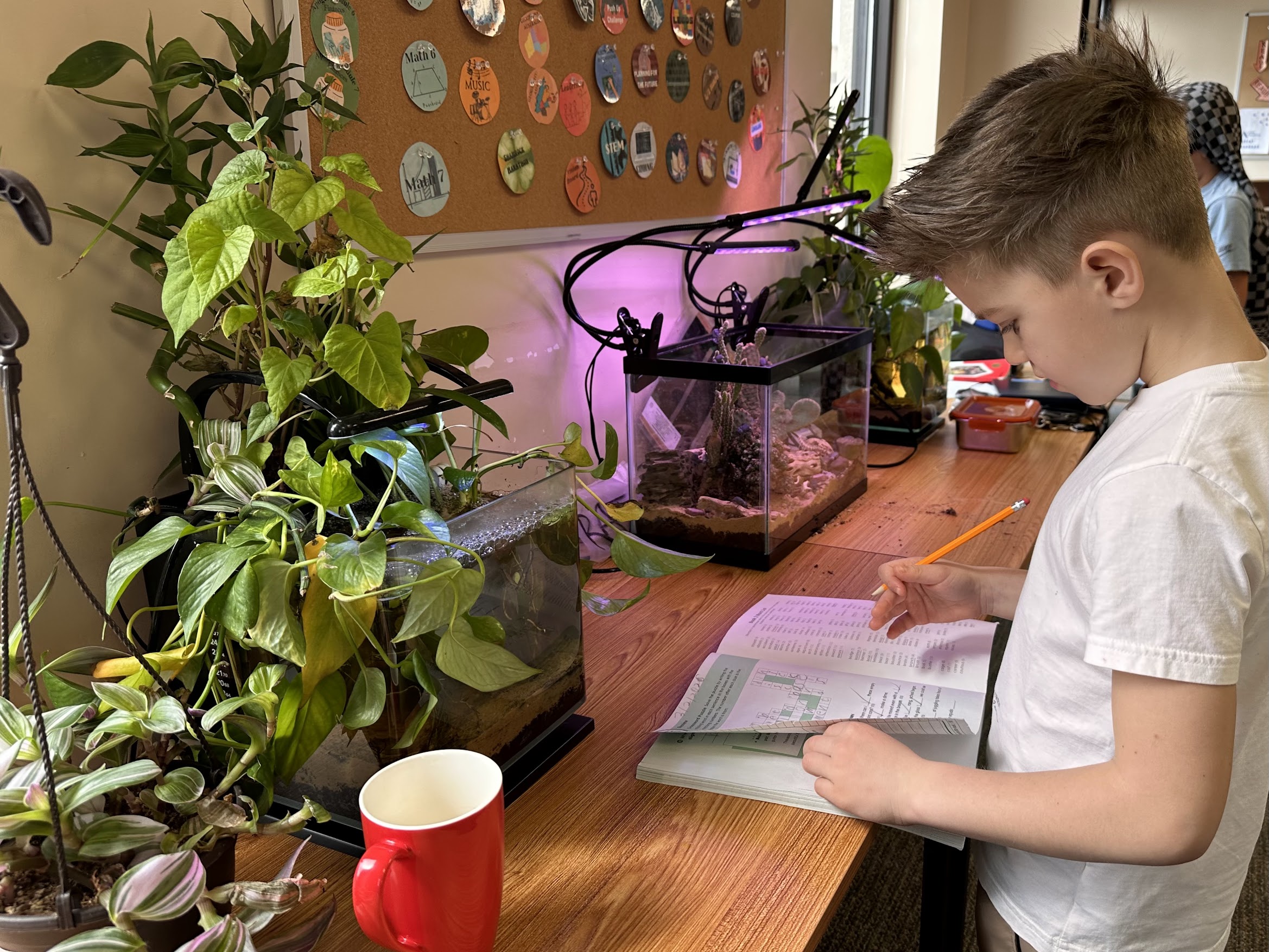 Photo from Google Photos 4