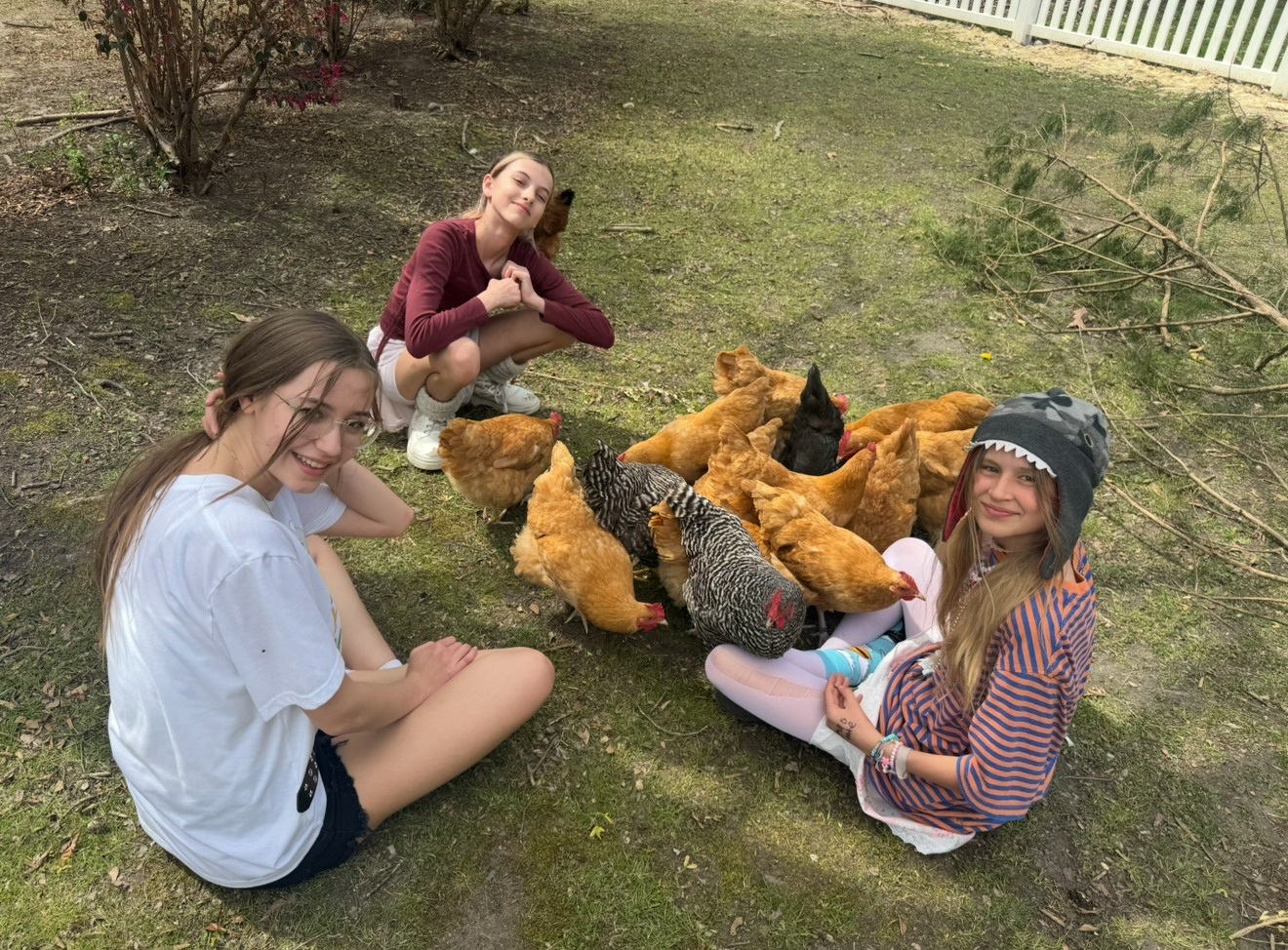 Photo from Google Photos 5