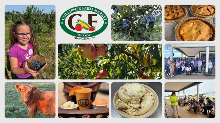 12Cullipher Featured Banner Collage 768x432