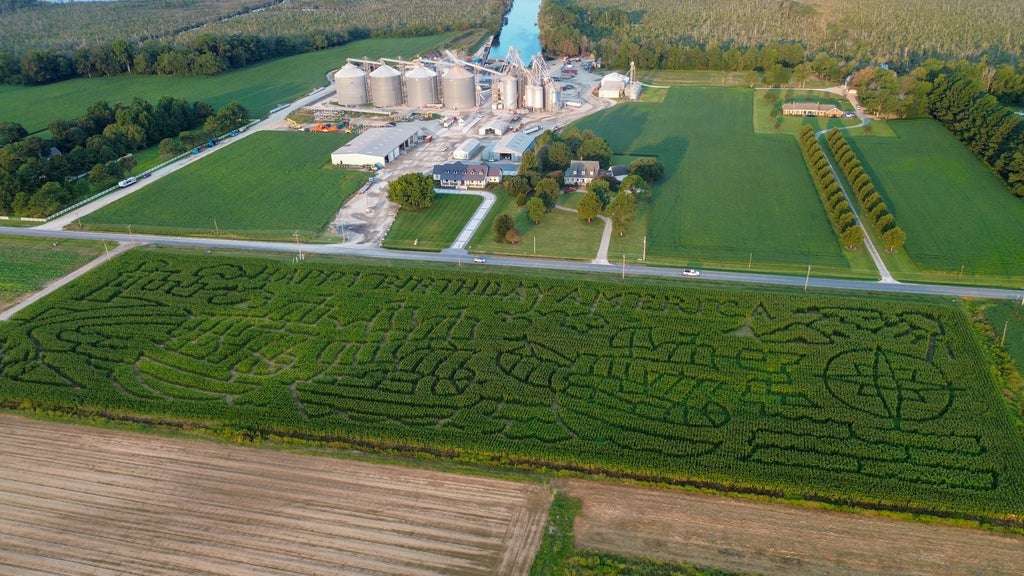 Aerial view of the 2026 Happy Birthday America corn maze at Cullipher Farm in Virginia Beach, with three ships and a compass cut into the corn