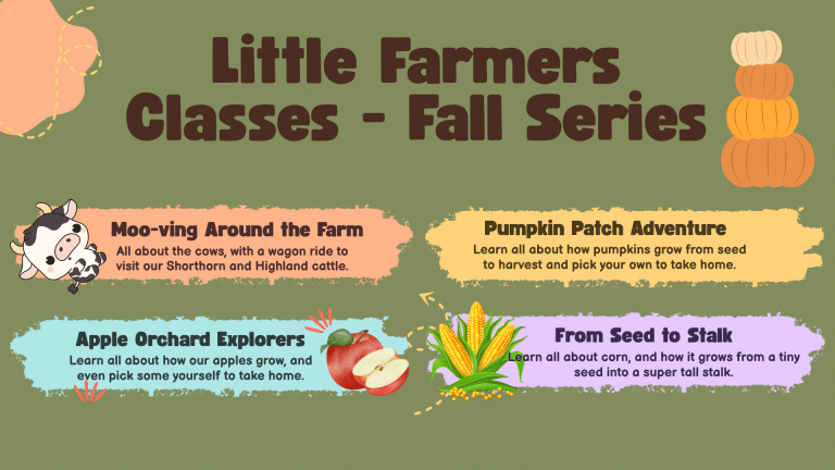 Fall Classes - Little Farmers Cullipher Farm