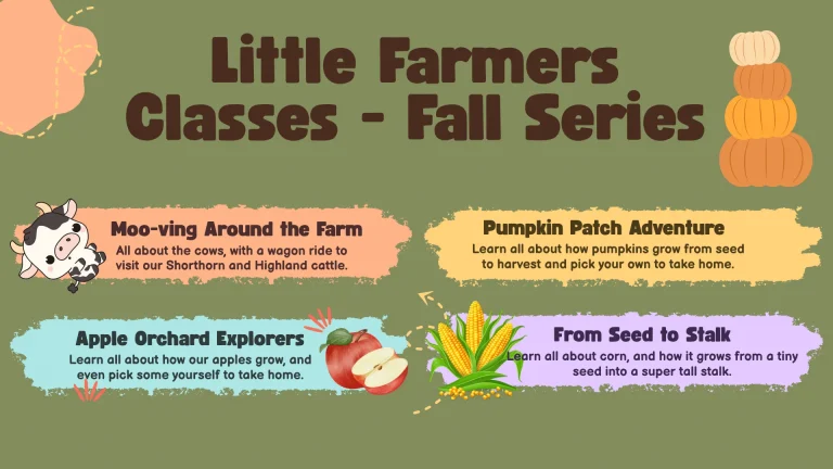 Fall Classes - Little Farmers Cullipher Farm