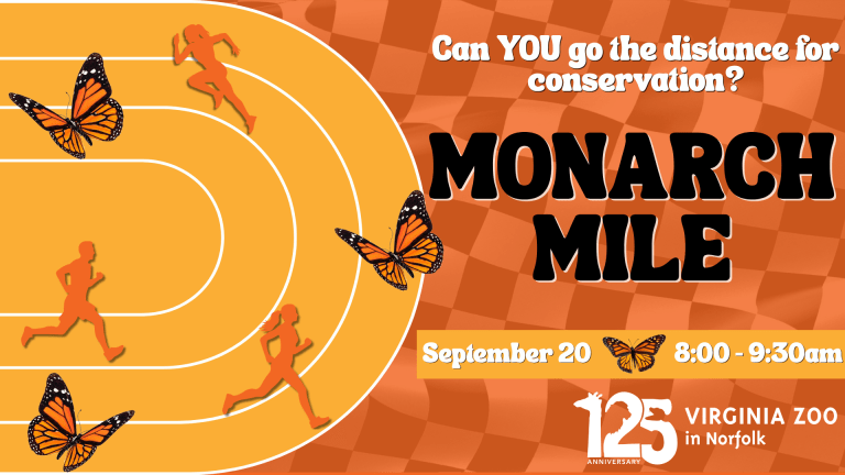Monarch Mile Event at the Virginia Zoo