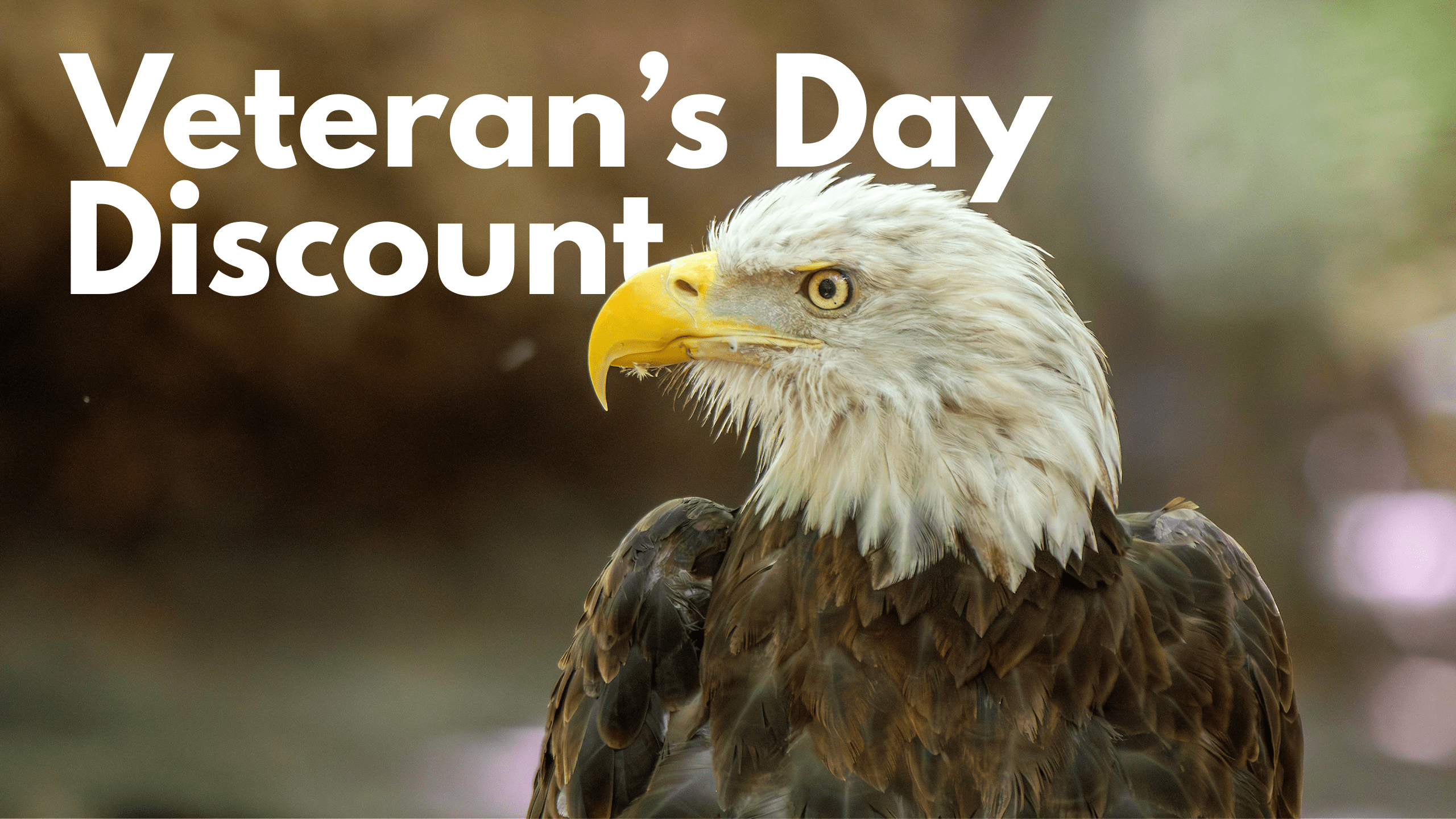 Veterans Day at The Virginia Living Museum