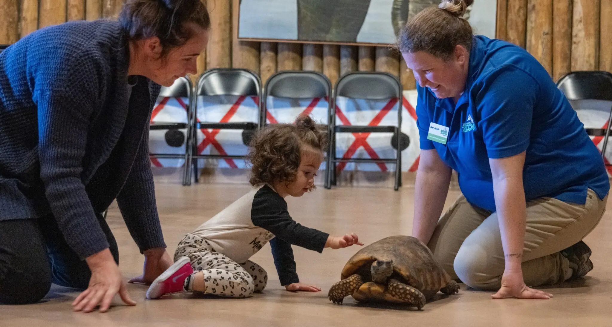 Wild Babies at The Virginia Zoo