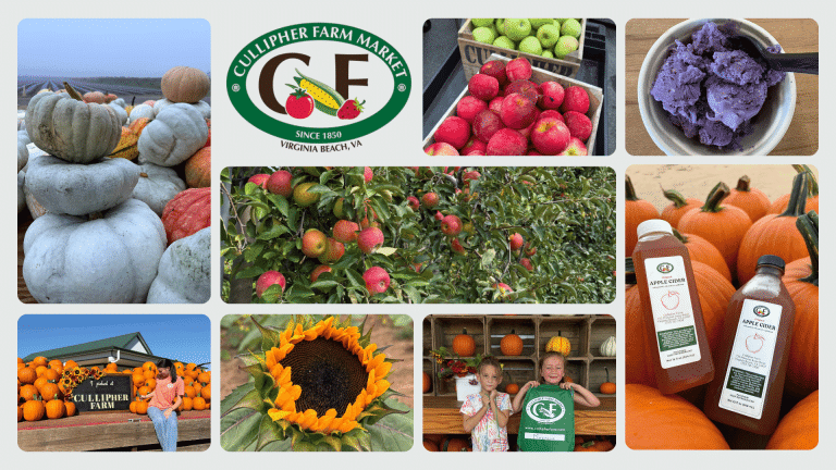 rogerCullipher Featured Banner Collage 768x432